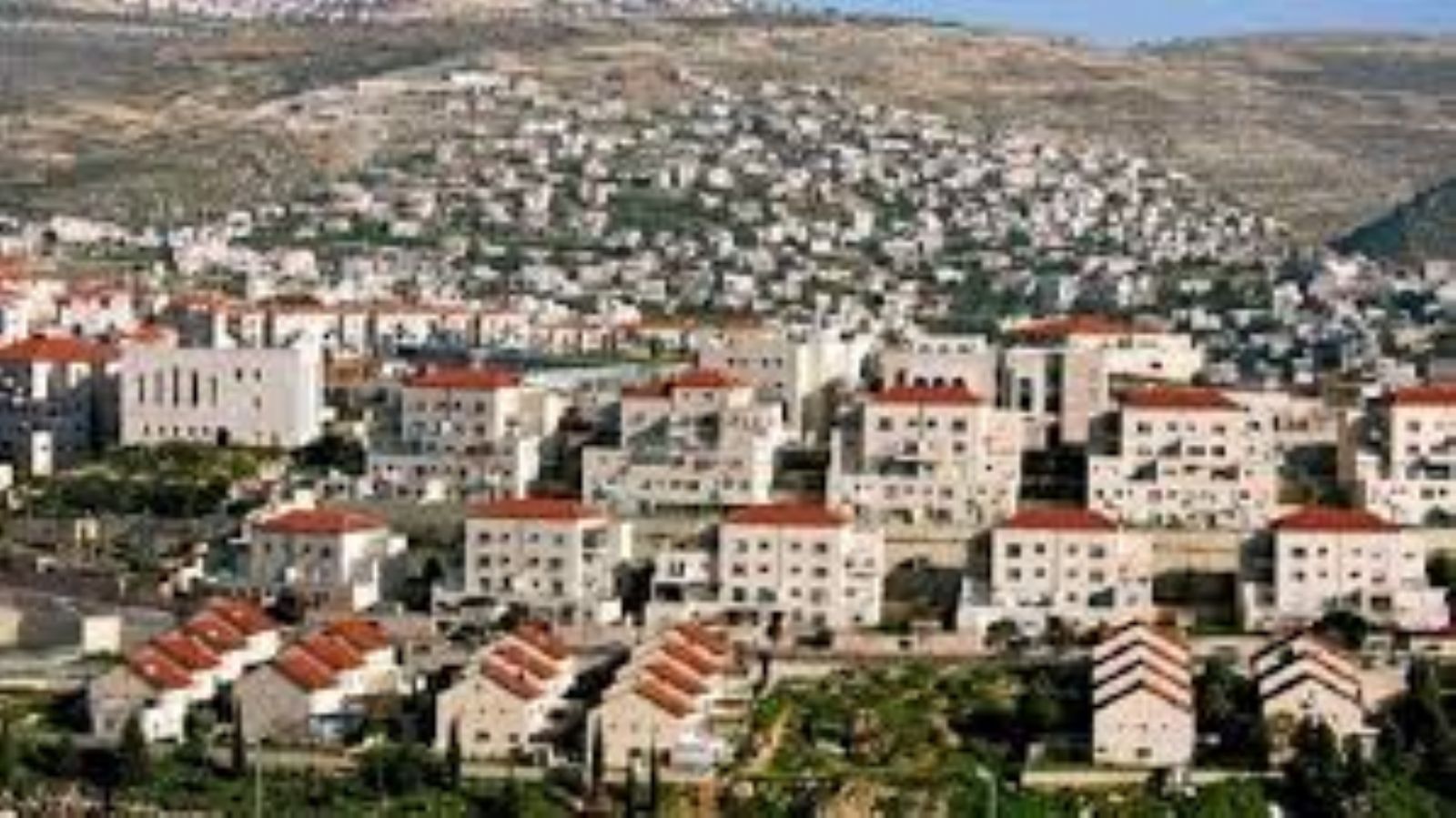 Expert warns that Arab countries have adopted Israeli settlement claims
