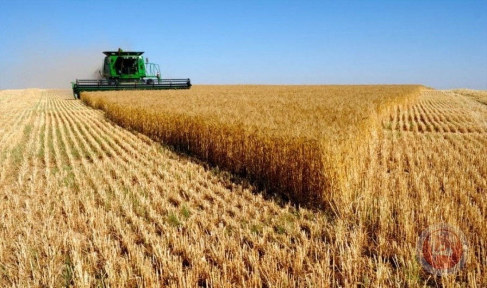 انخفاض أسعار القمح عقب توقيع "اتفاقية الغذاء"