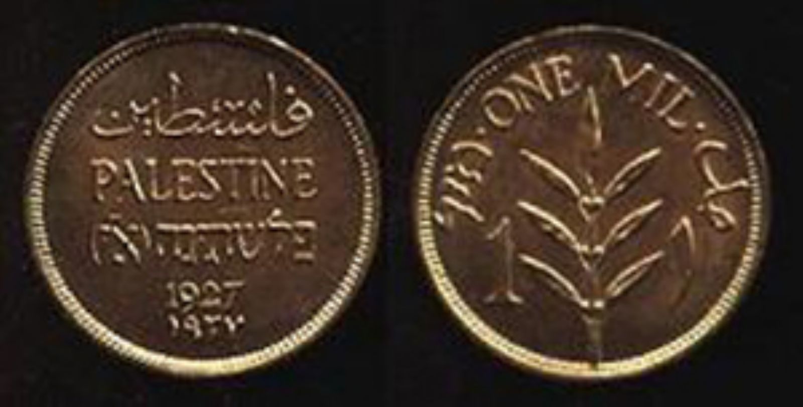 العملة الفلسطينية