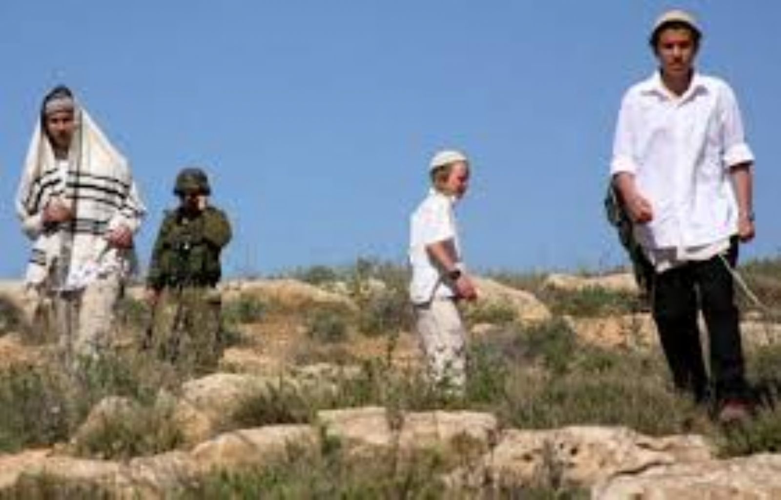 Israeli settlers attempt to abduct Palestinian boys in West Bank